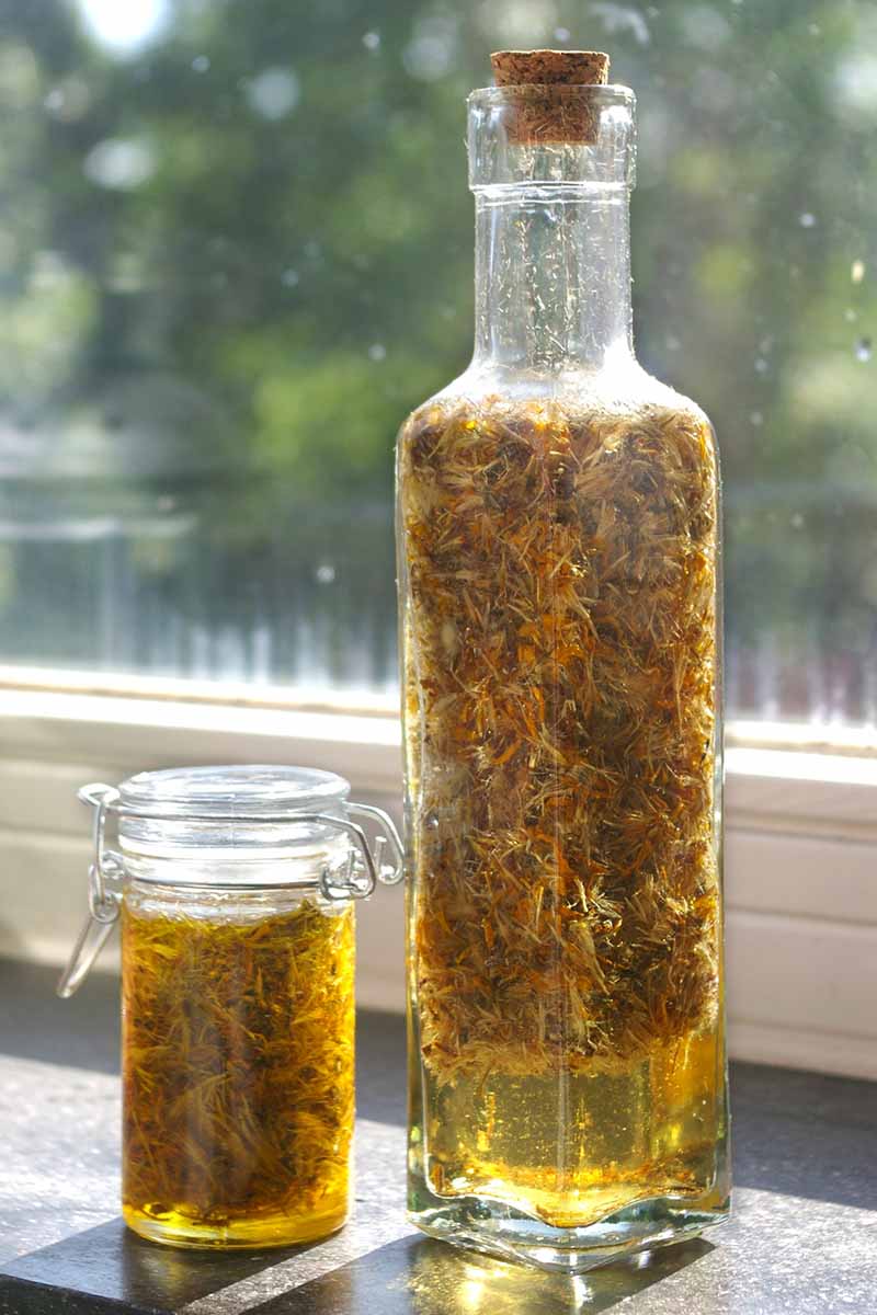 A vertical image of a glass bottle and a jar of herbal flower tincture set on a windowsill in sunlight.
