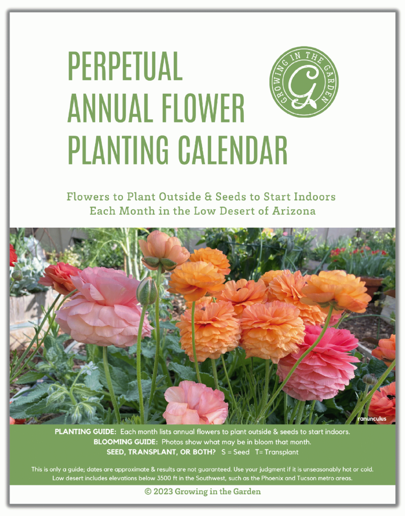 Perpetual Flower Planting Calendar for Zone 9B