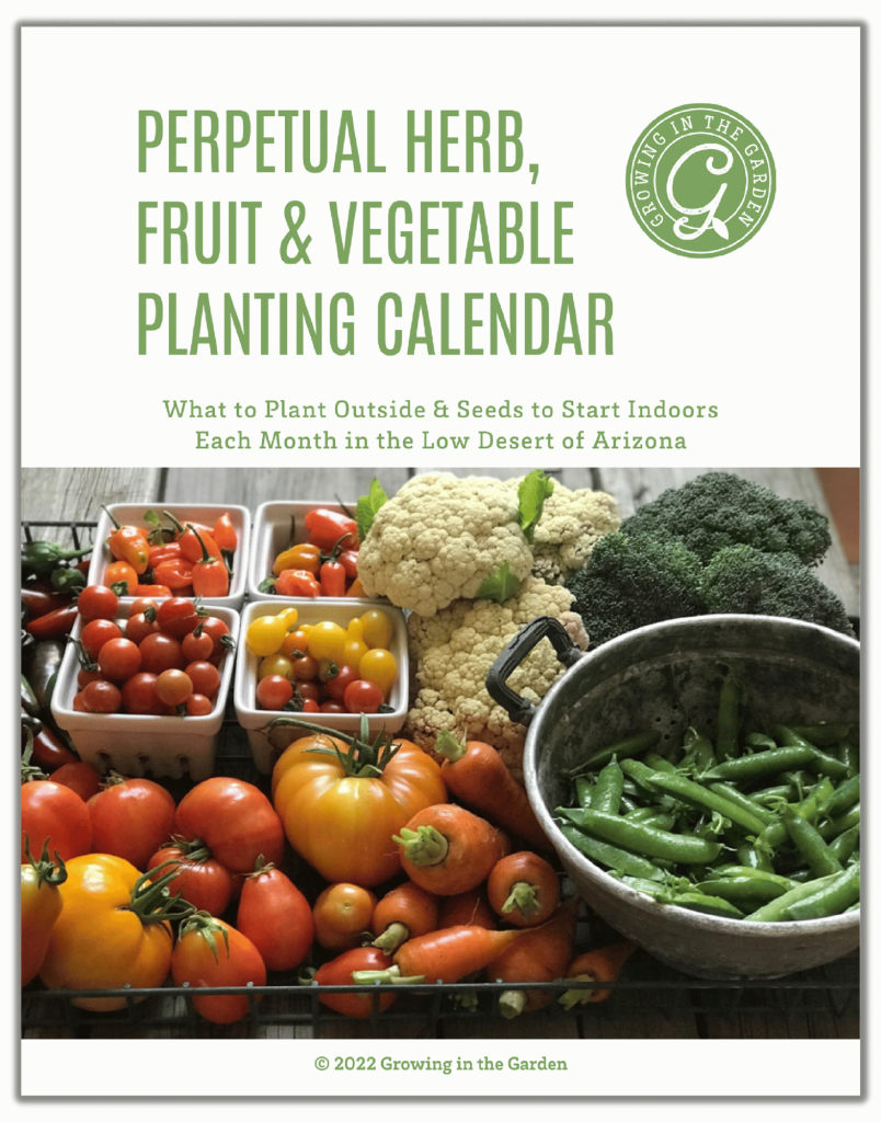 Perpetual Herb, Fruit & Vegetable Planting Calendar Zone 9b