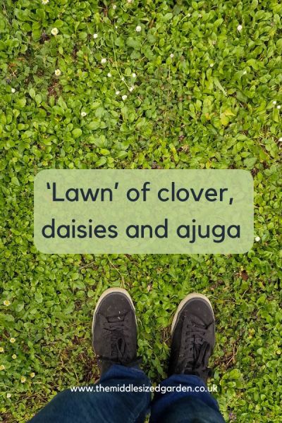 Grass-free lawn