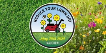 WashingtonGardener: Reduce Your Lawn Day: Let's Do This!