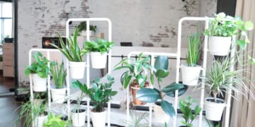 A TikToker Made a Greenhouse Out of an IKEA Cabinet