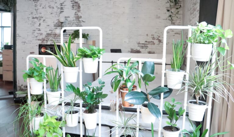 A TikToker Made a Greenhouse Out of an IKEA Cabinet