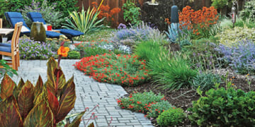 Planting Plan to Optimize a Small Garden Space