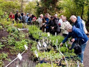 Brian Minter: B.C. gardening events
