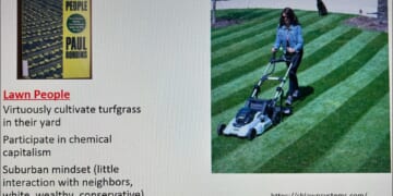 Dissing "Lawn People" AND "Lawn Dissidents"? It's DEI Day in My Lawn Class