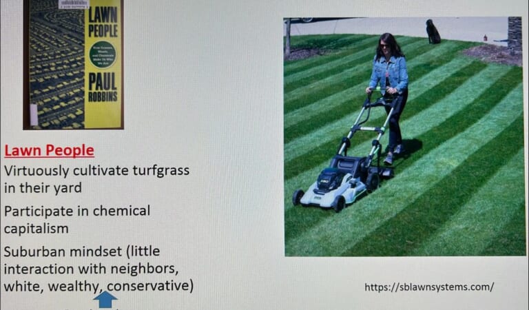 Dissing “Lawn People” AND “Lawn Dissidents”? It’s DEI Day in My Lawn Class