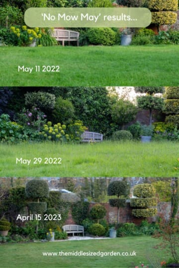 Should you do No Mow May? The pros and cons... - The Middle-Sized Garden