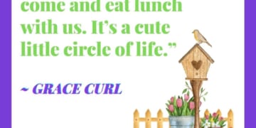 Monday Thoughts: “We see birds, they come and eat lunch with us. It’s a cute  little circle of life.” - Grace Curl