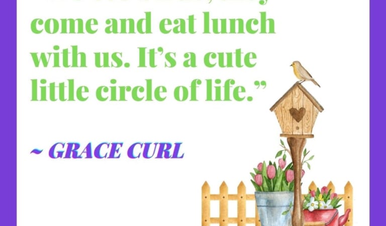 Monday Thoughts: “We see birds, they come and eat lunch with us. It’s a cute  little circle of life.” – Grace Curl