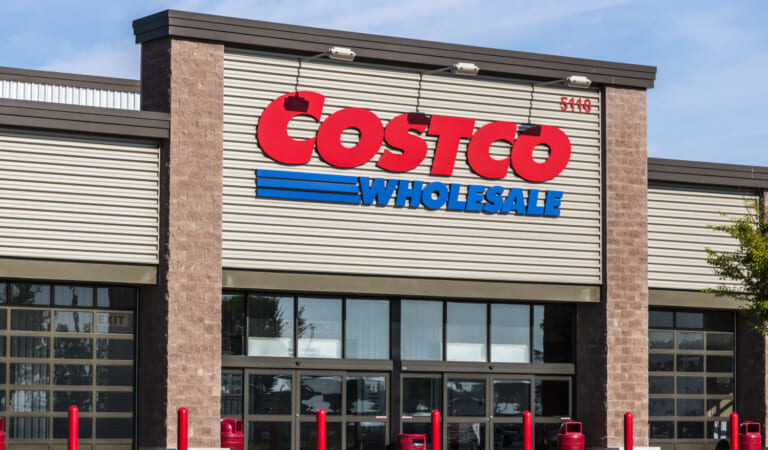 Costco’s $10 Outdoor Pillows Are Just $10 and So Soft